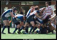 130908D_043_7D76664