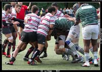 130929D_134_7D77388