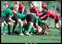 131020E3_195_7D78036