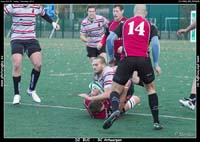131103D2_003_7D78478