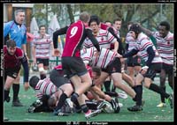 131103D2_021_7D78497