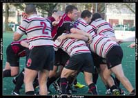 131103D2_023_7D78499