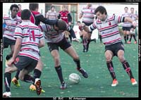 131103D2_036_7D78513
