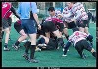131103D2_049_7D78526