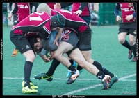 131103D2_056_7D78533