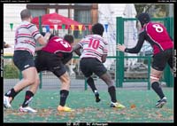 131103D2_064_7D78541