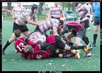 131103D2_111_7D78592
