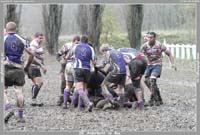 131124D_033_7D79872