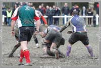 131124D_063_7D79892