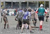 131124D_118_7D79934