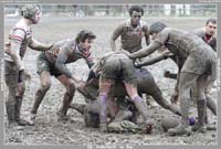 131124D_160_7D79974