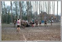 131124D_223_70D00177