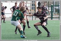 140322U17_013_7D81973