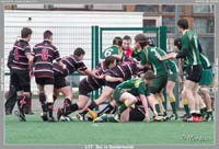 140322U17_081_7D82028