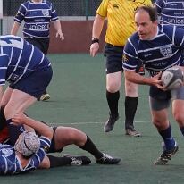 260424_Vet2_003_R7_60728