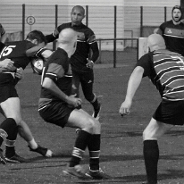 260424_VetN_004_R7_60828