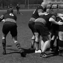 260424_VetN_008_R7_60836