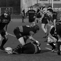 260424_VetN_009_R7_60837