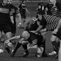 260424_VetN_012_R7_60840