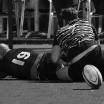 260424_VetN_016_R7_60847